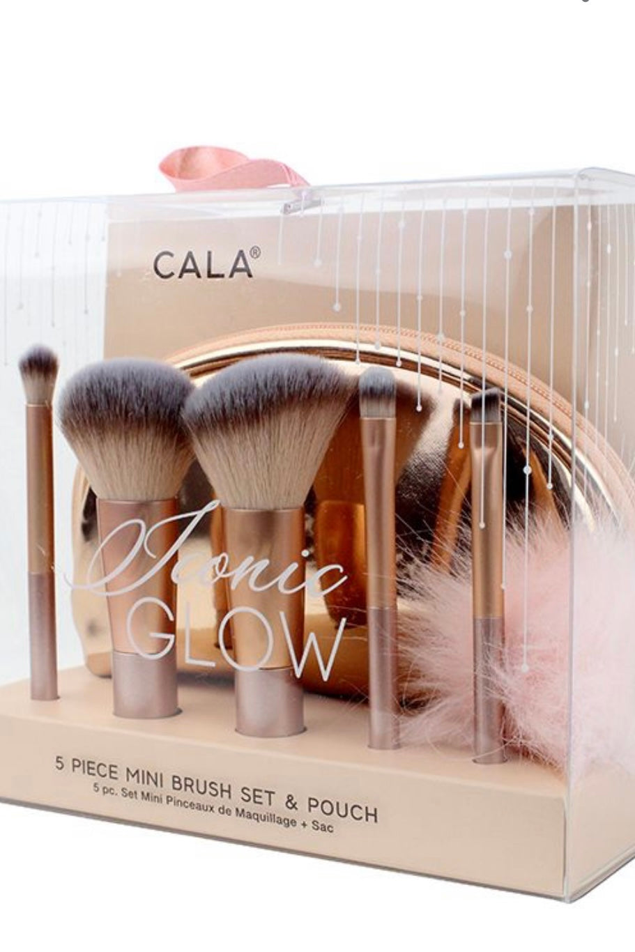 ICONIC GLOW 5 PC MAKEUP BRUSH SET WITH POUCH